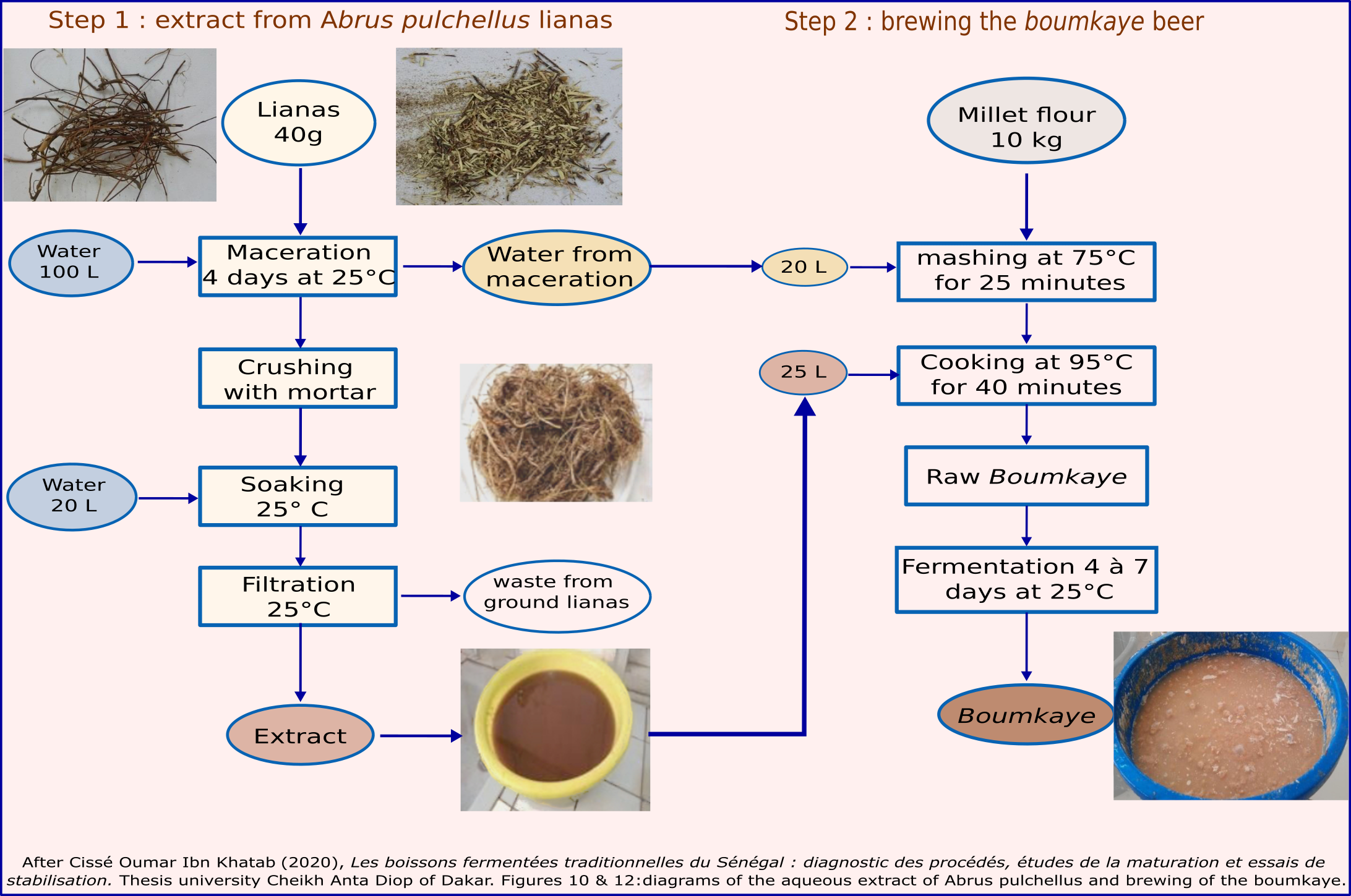 Senehal, brewing trhe boumkaye beer